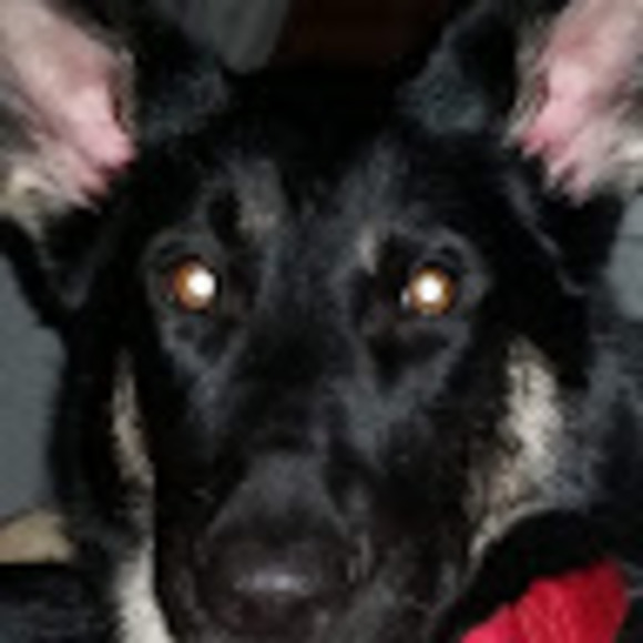 Meet your Posher, Tammy - Picture 1 of 1